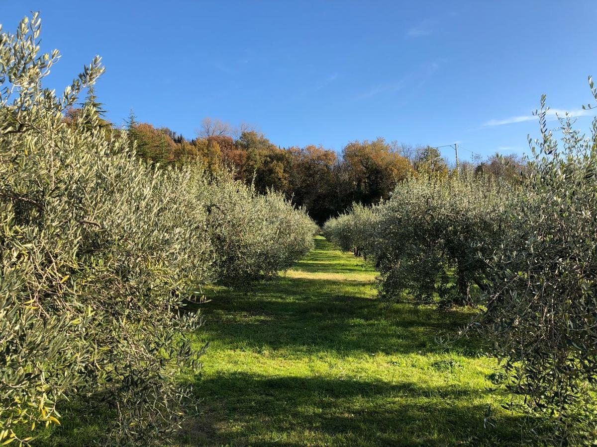 La Tenuta Del Giglio Villa Tavullia Exterior foto